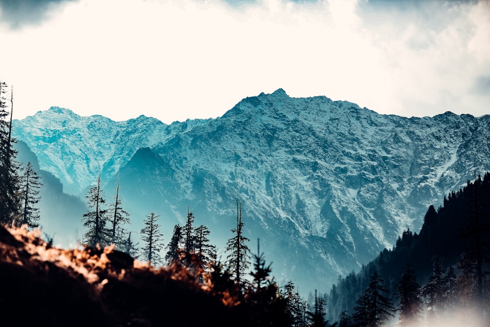 10 Days Sacred Char Dham Yatra Pilgrimage