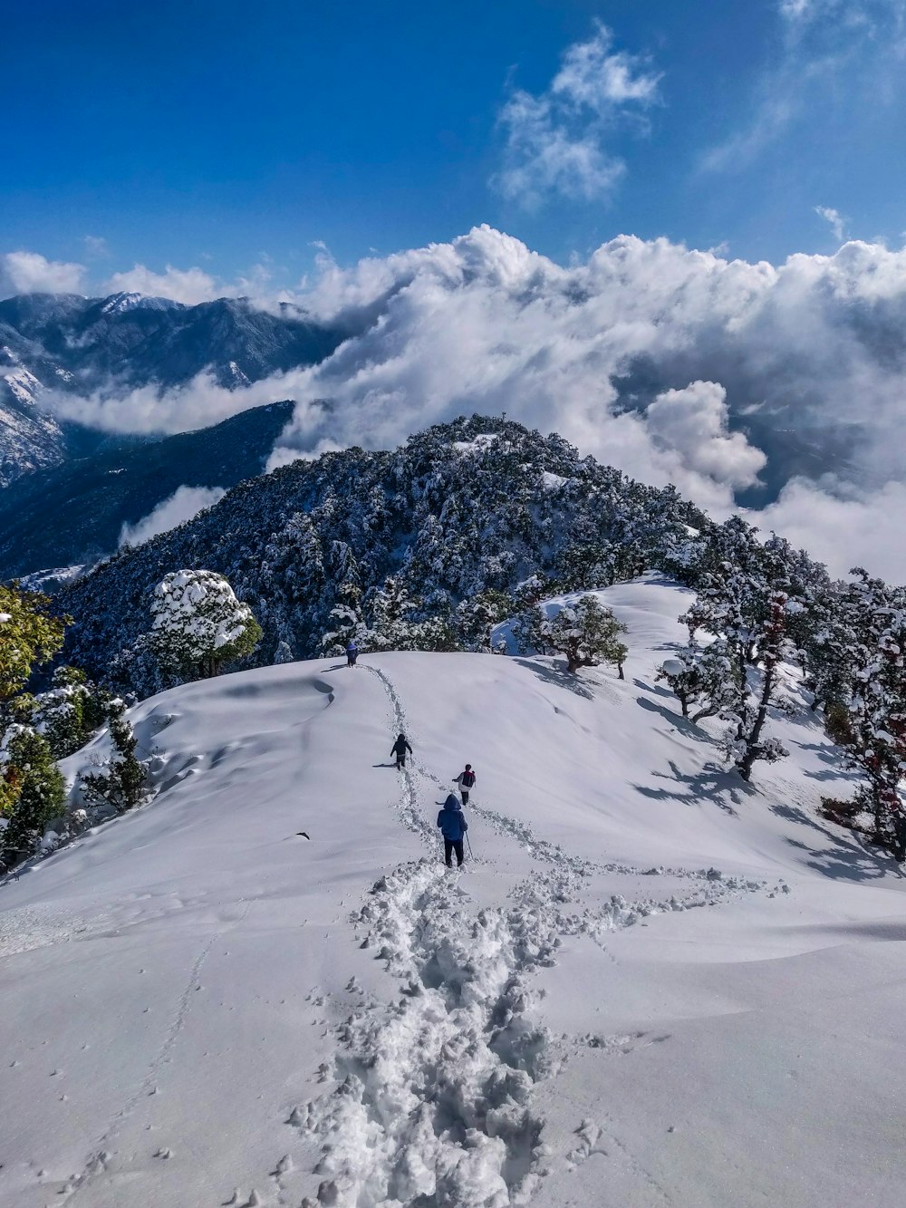 6 Days Shimla & Manali Scenic Tour