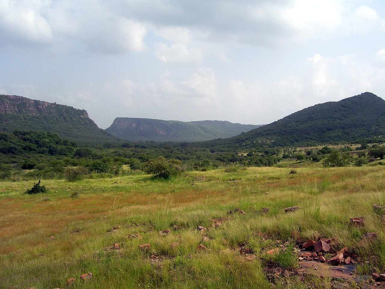 Jeep safari trail through the teak forest and rocky ravines of Ranthambore wildlife sanctuary