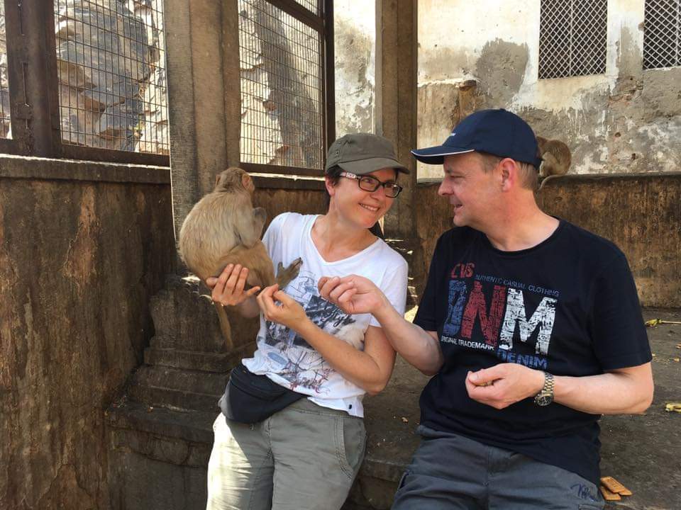 Jaipur sightseeing tour with private driver – guests feeding monkeys